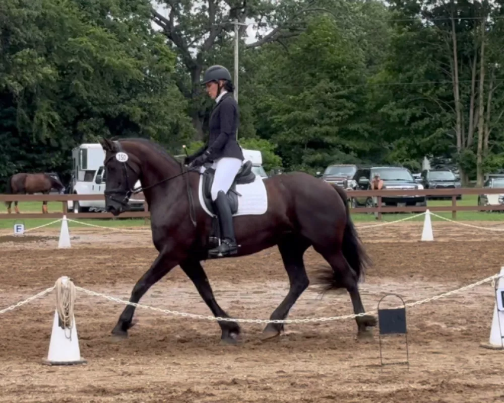 Ariah ridden in a dressage show training level