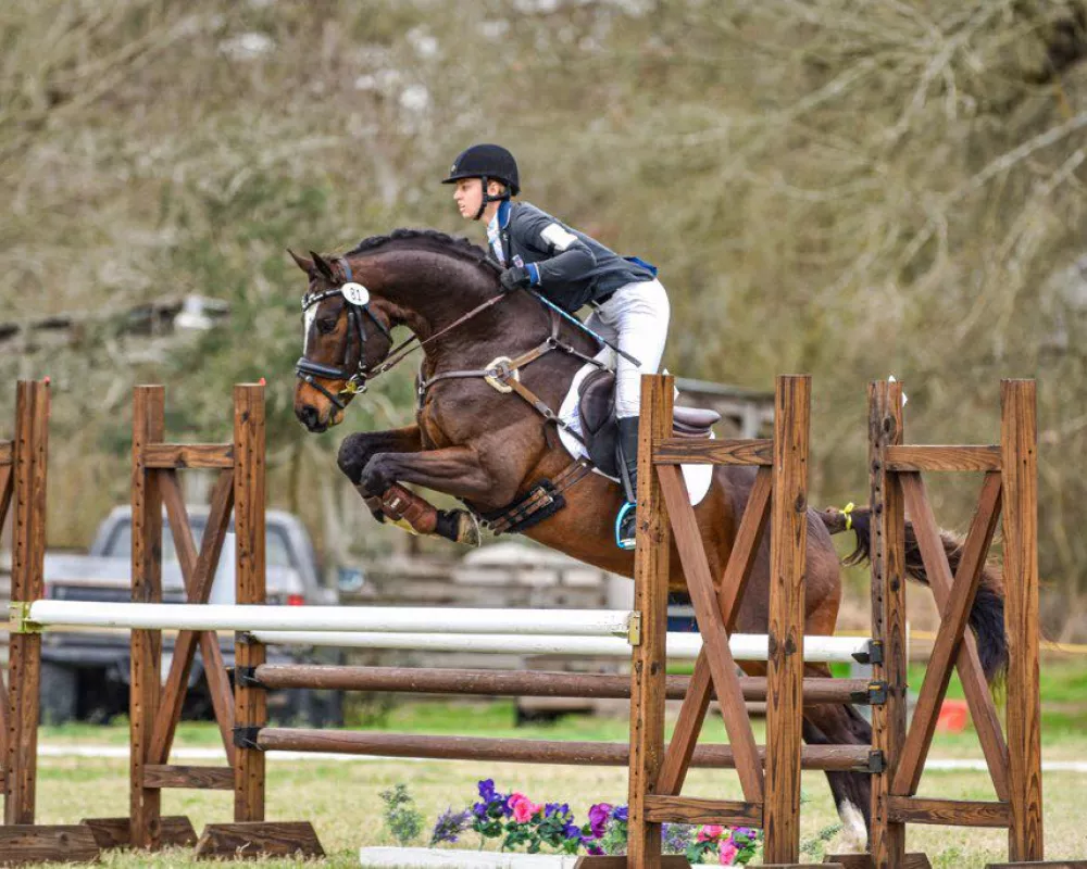 Barbarossa with Anna Pierce Training Level eventing