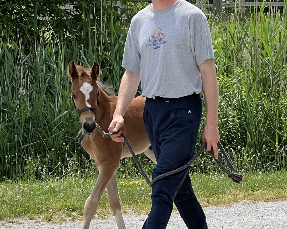 NeverEver coming back from the pasture 1 month old