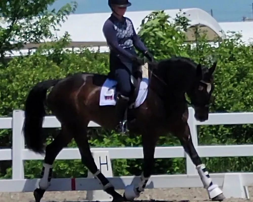 Ottawa Dressage Festival 2024