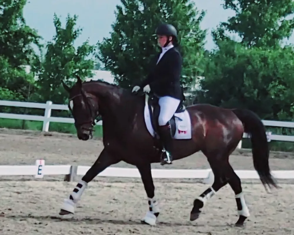 Ottawa dressage Festival 2024