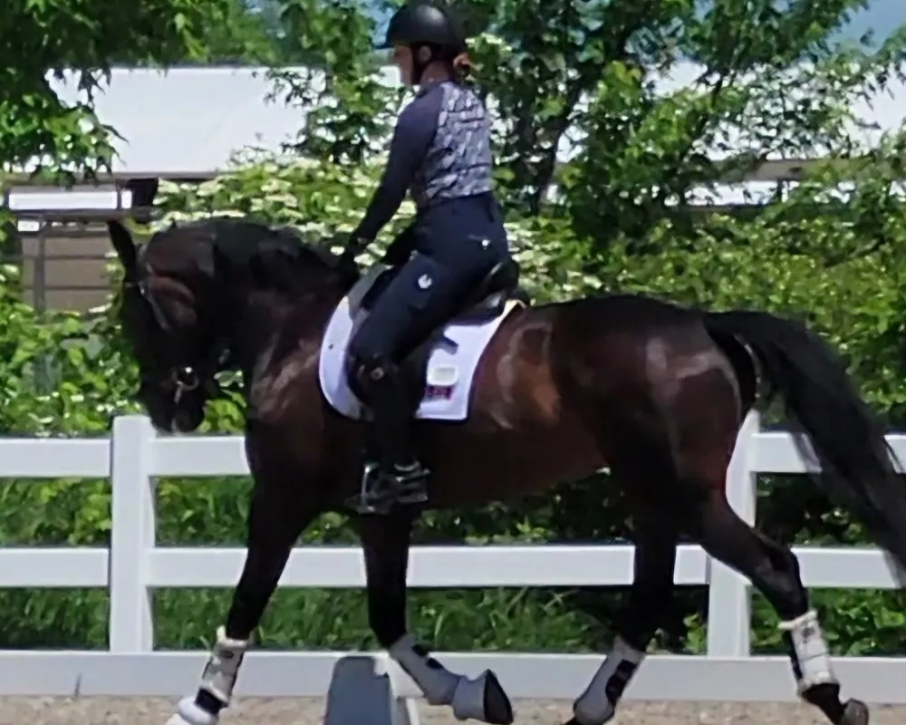 Ottawa Dressage Festival 2024