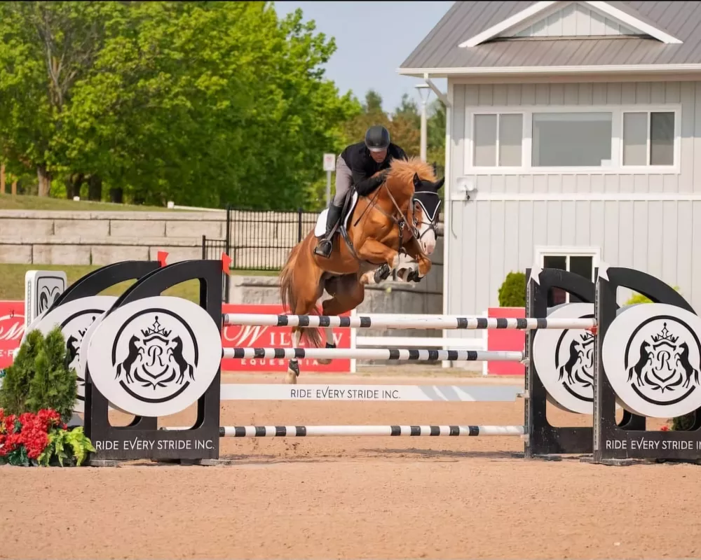 Sire Beau Balou (Bon Balou X Calypso de Moyon)