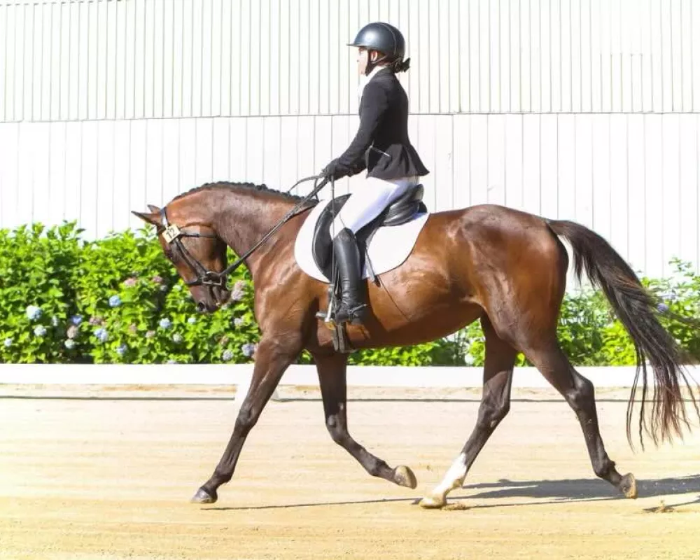 Stunning movement, scores in the 60s at first shows.