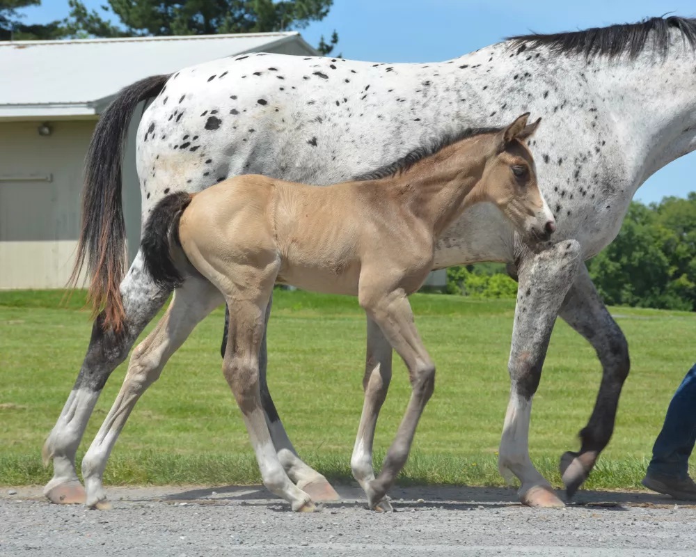 3 weeks old