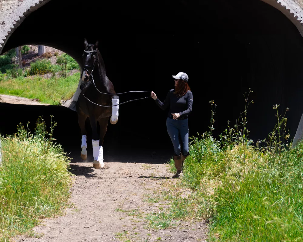 Tunnel Shot