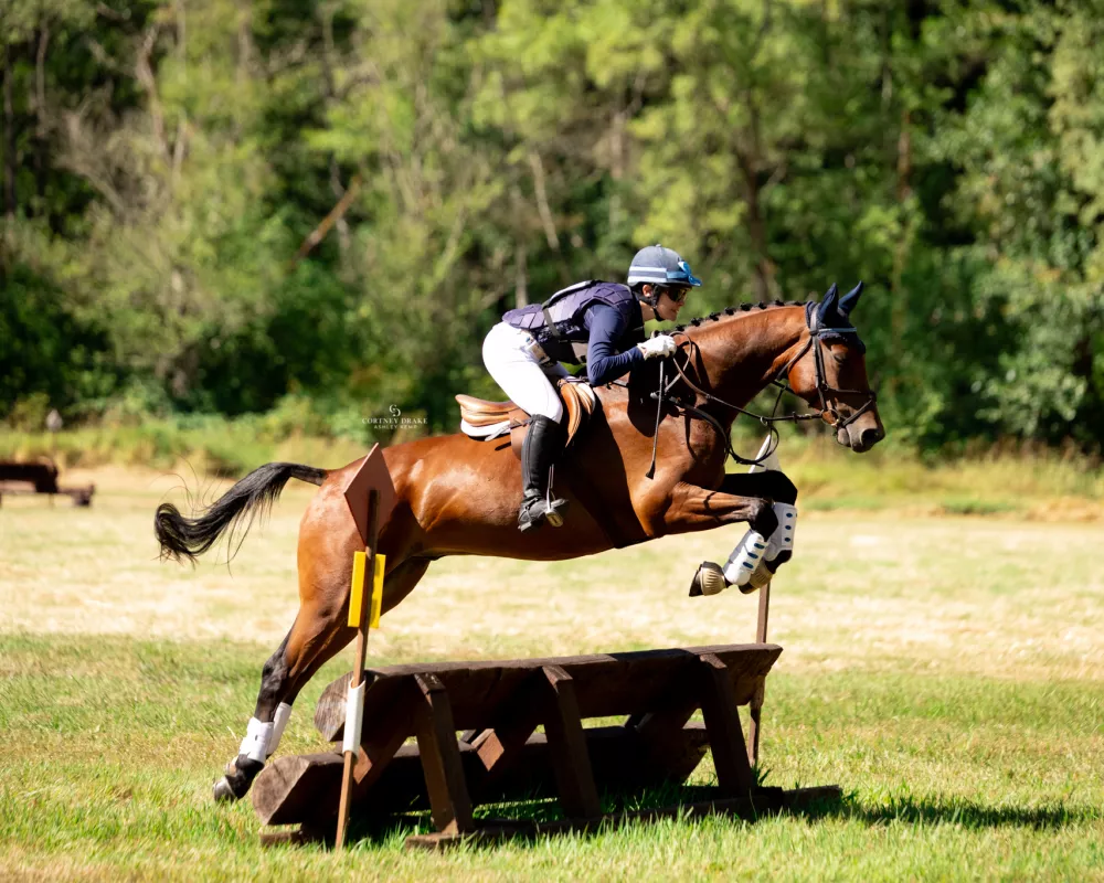 Beginner Novice xc