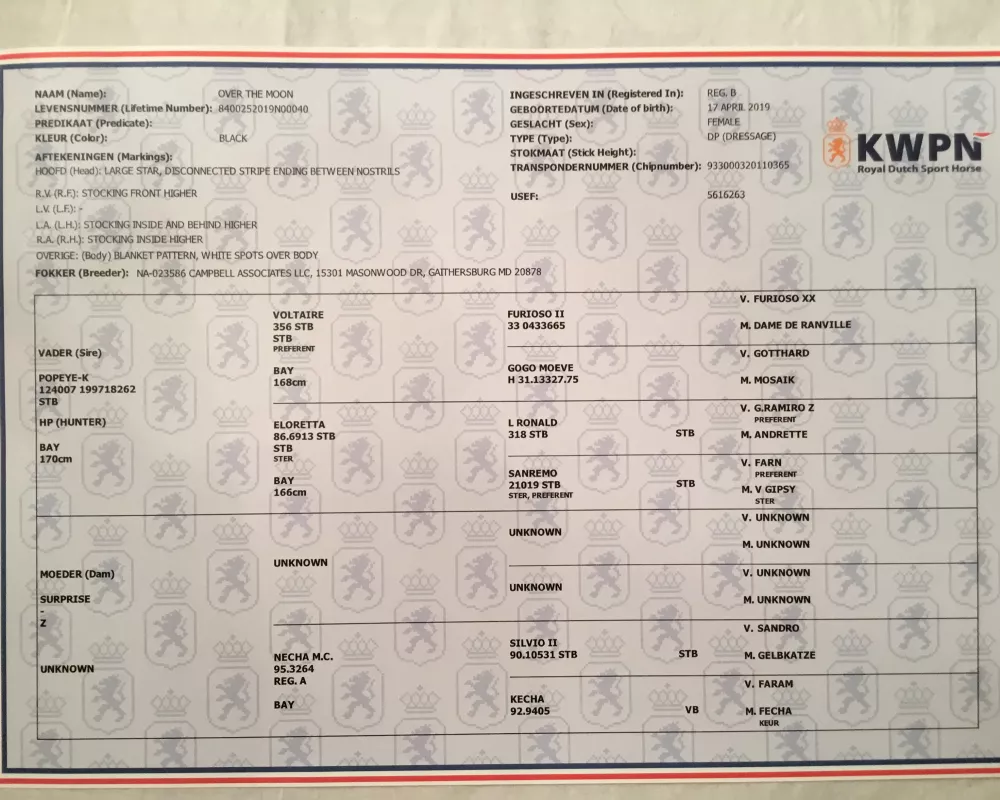 Dams Certificate of Pedigree