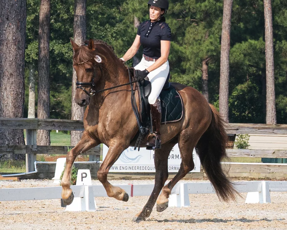 Portrait of a liver chestnut horse and rider in show attire, cantering in an outdoor dressage arena