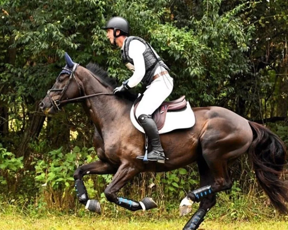 Johnny galloping on cross-country