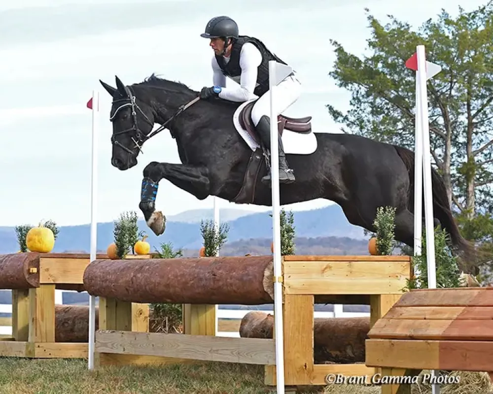 Johnny over training level eventing table