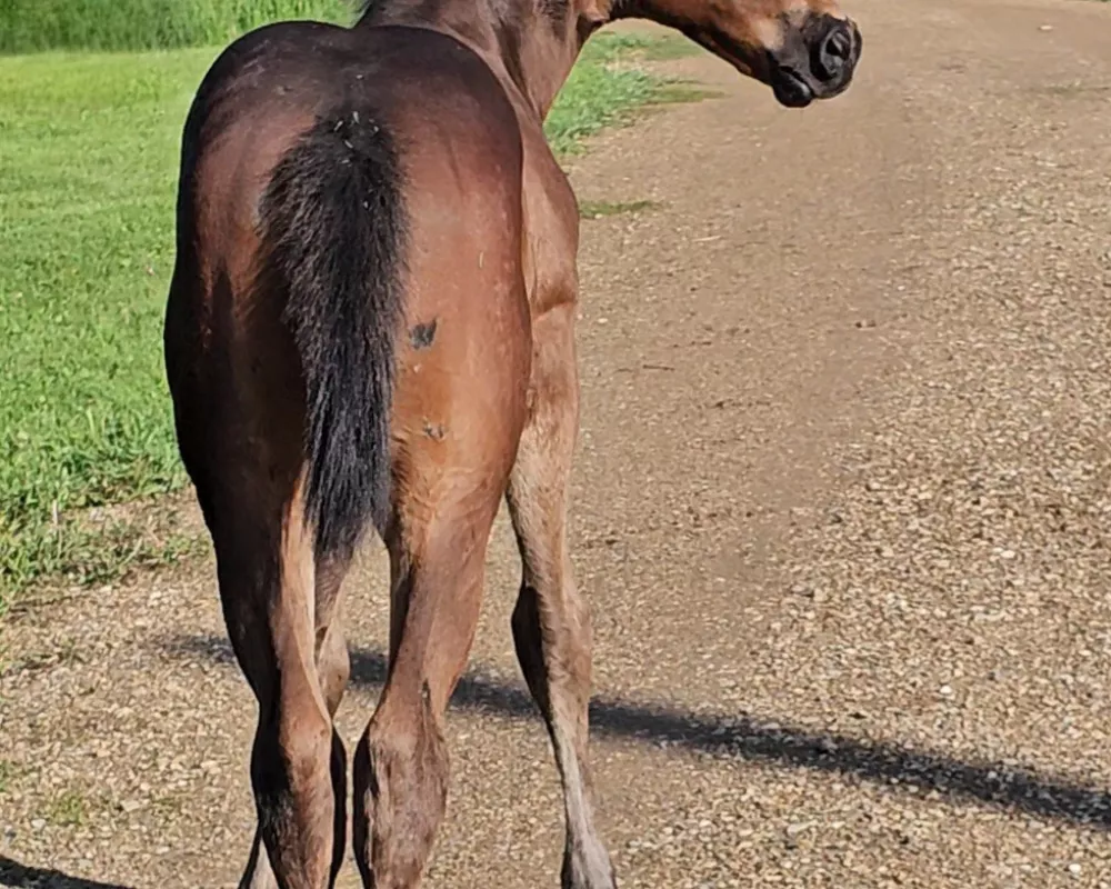 Stunning head and neck