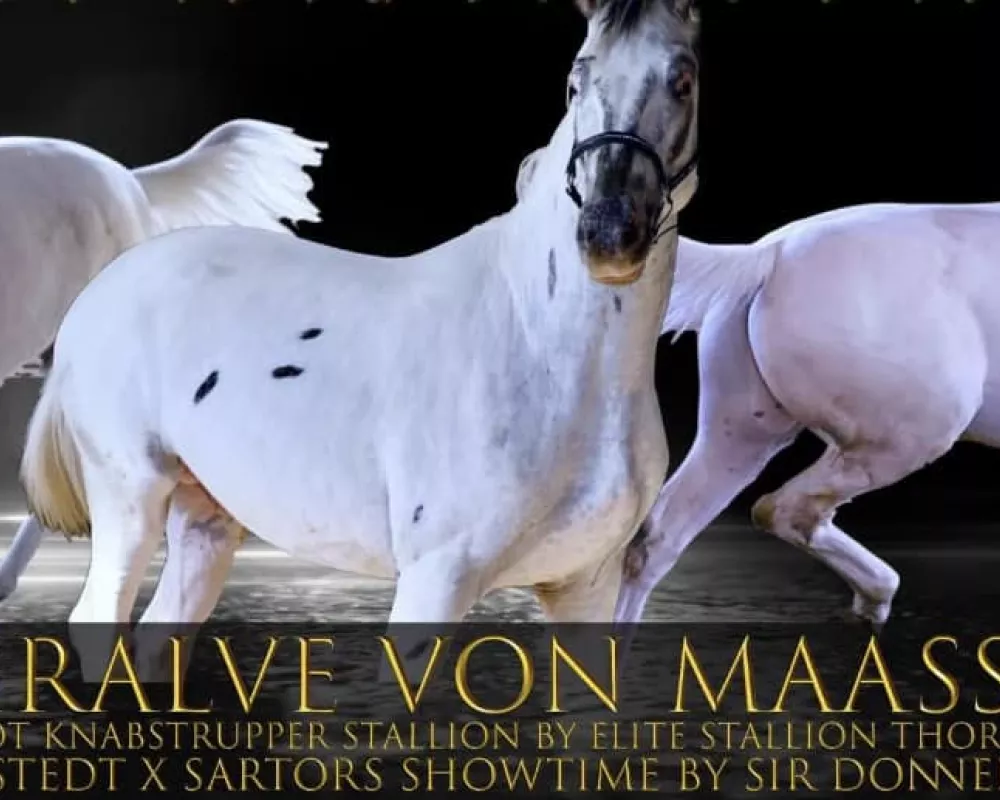 Sire Thralve Von Maassen