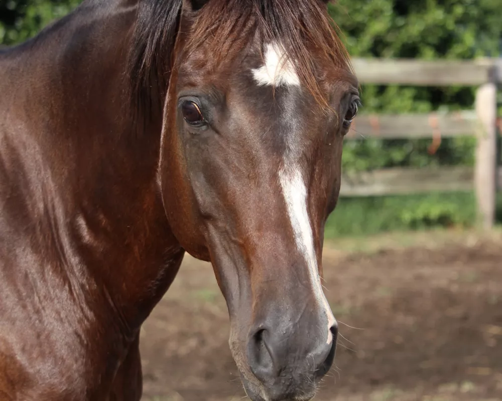 Pretty girl!