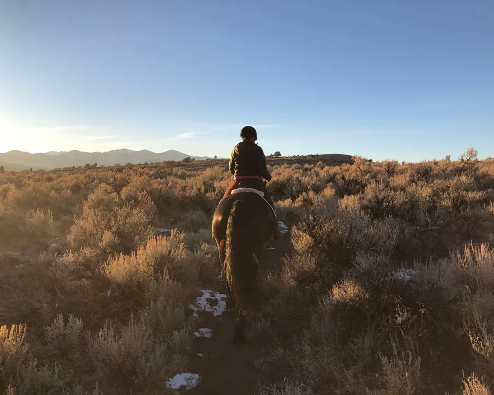 trail ride 