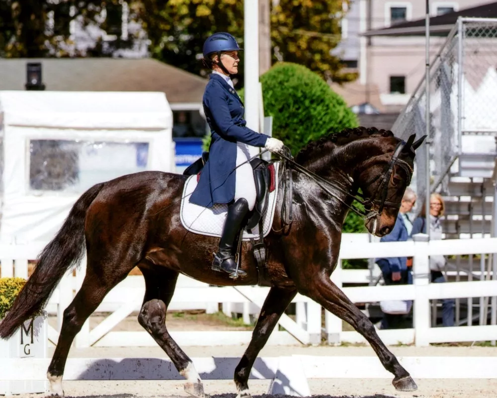 Dressage at Devon, TOC, PSG