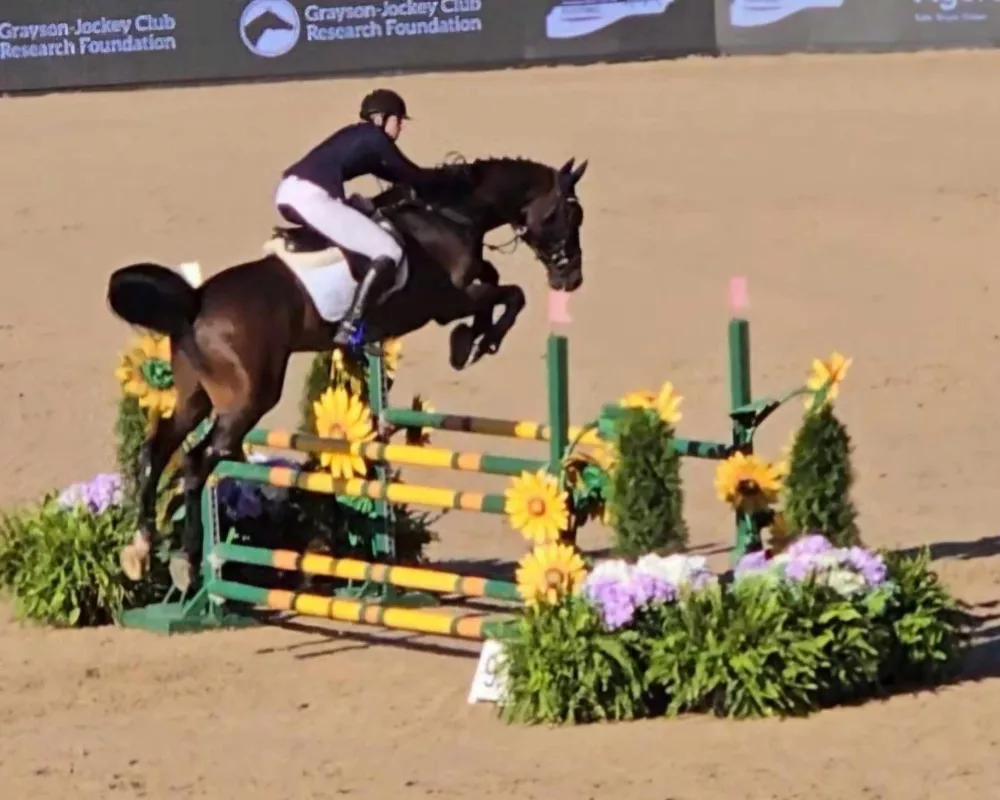 Oxygen MG (Impressive VDL - Crespo VDL) Jumping  1.2m 2024