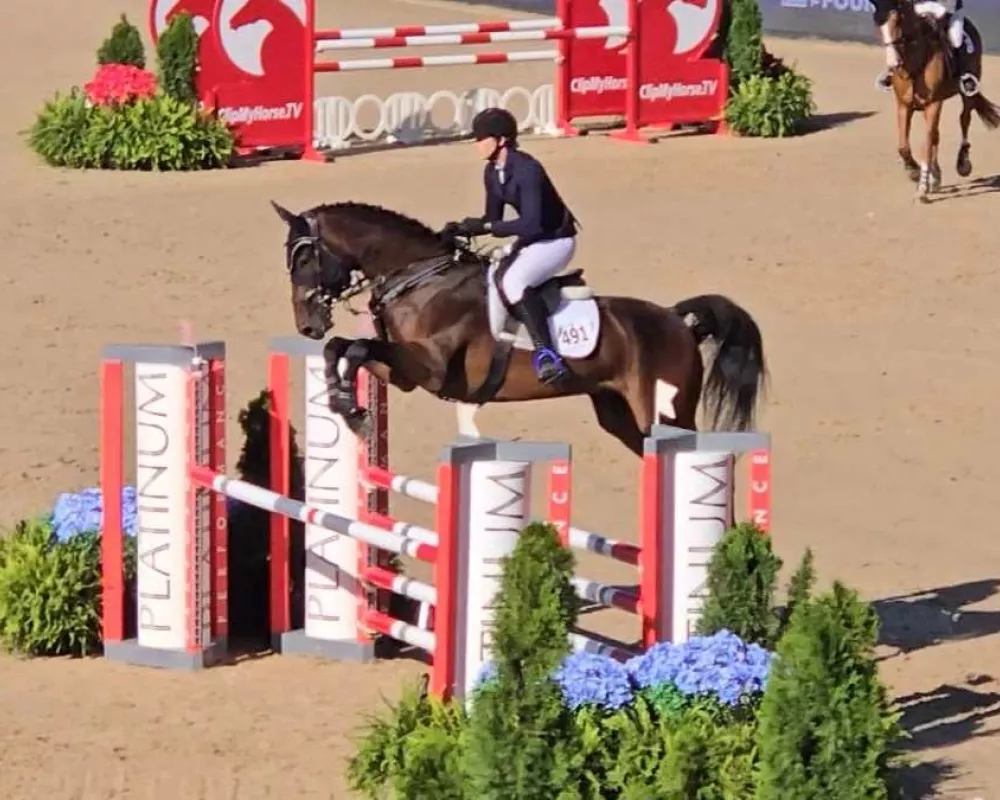 Oxygen MG (Impressive VDL - Crespo VDL) Jumping 1.2m 2024