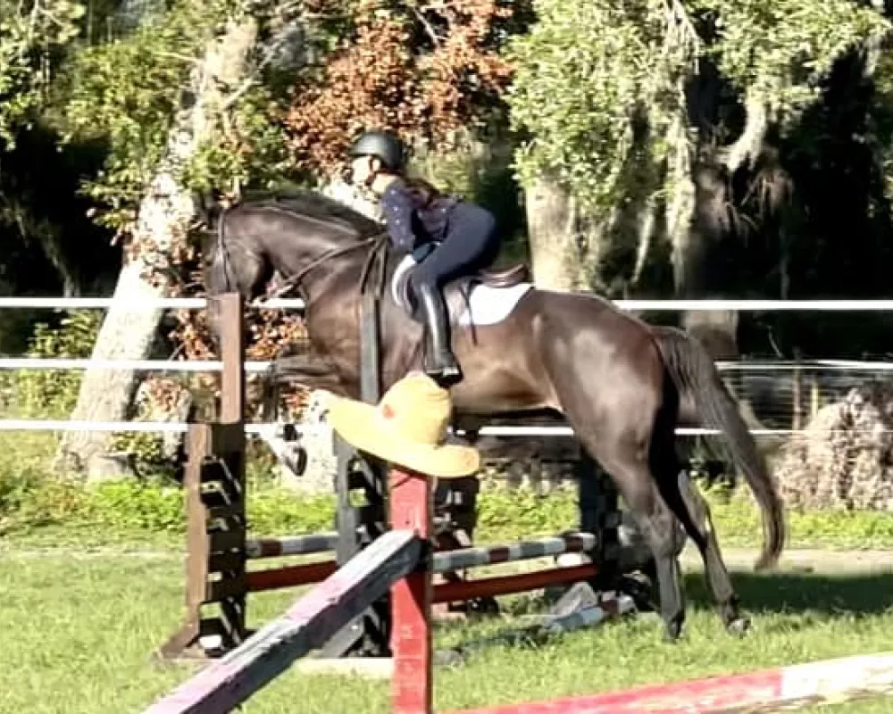 Caesar jumping