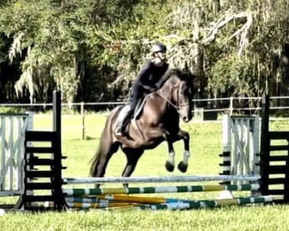 Caesar jumping
