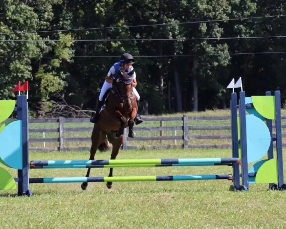 Joey blue and green oxer