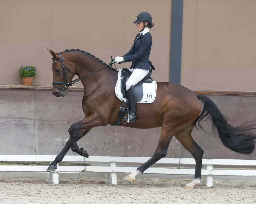 Evita (Rhodium x Juventus) tlite, 5th NMK