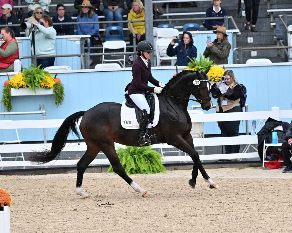 2024 Dressage at Devon