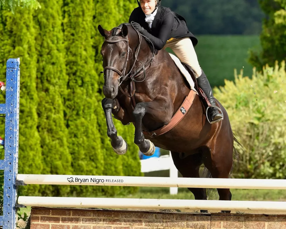 Sibling out of mare