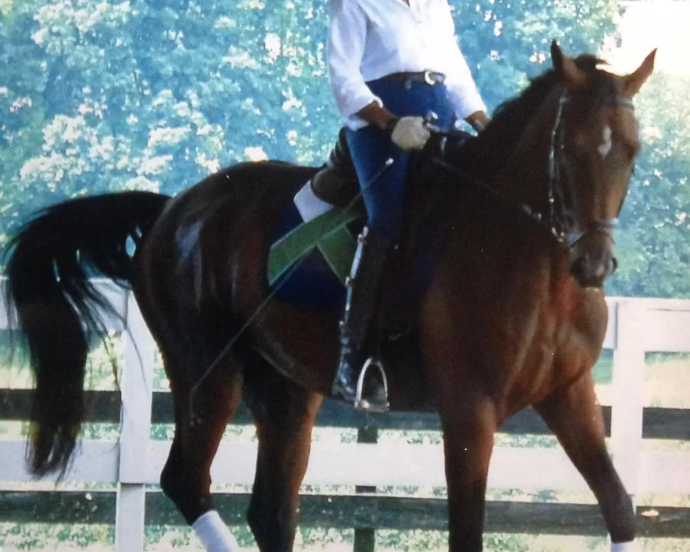 Sibling out of mare