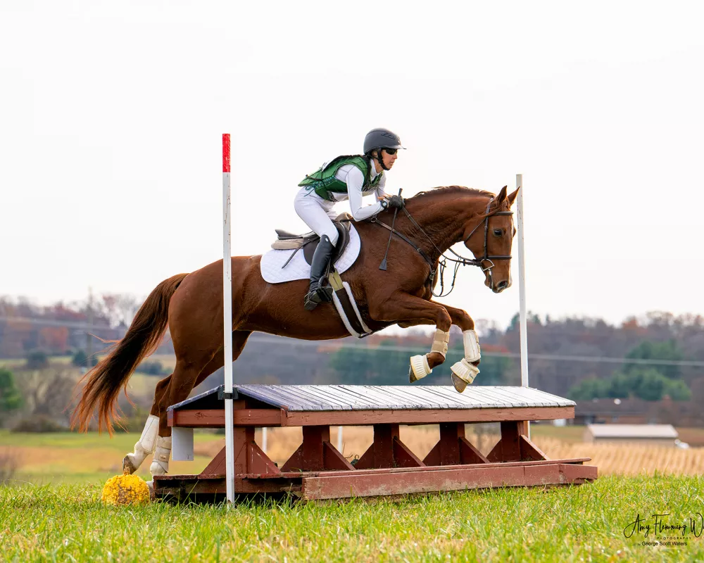 Cadenza xc jump 1