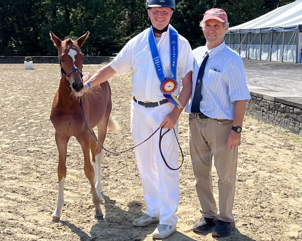 NEDABreed2024scored80, champion pony colt.