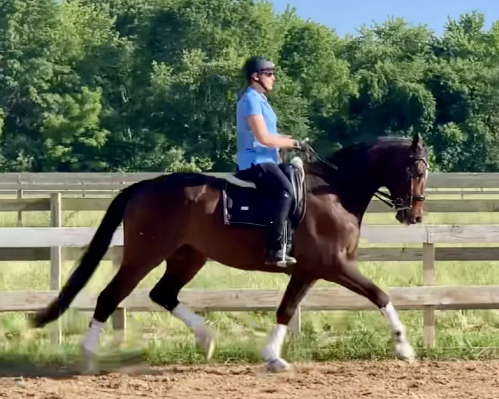 Leo has a phenomenal hind leg!🤩