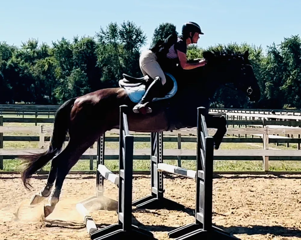 Great jumper, no stop!! 