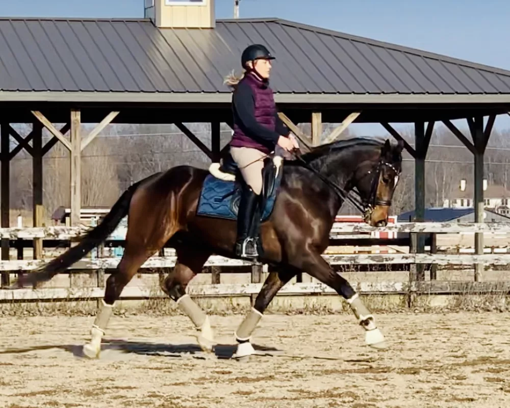 Look at Leo’s Medium Trot! 