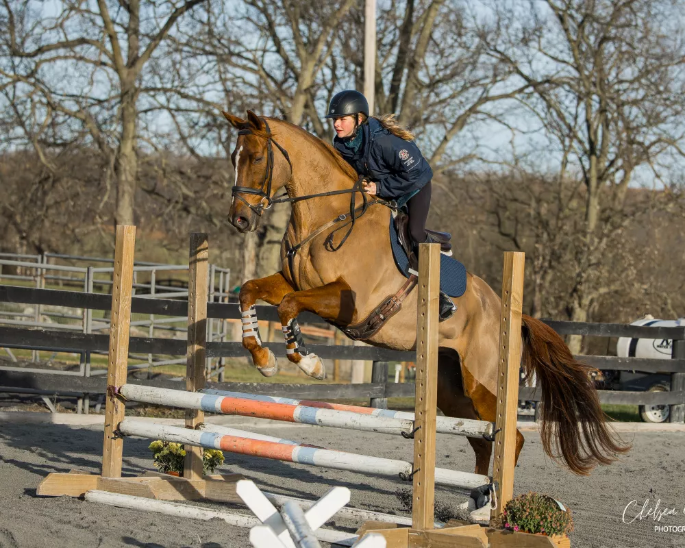 Logan and Toro oxer