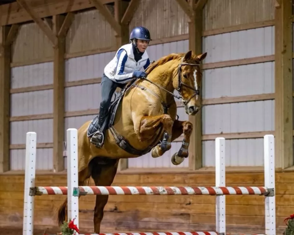 Toro indoor oxer