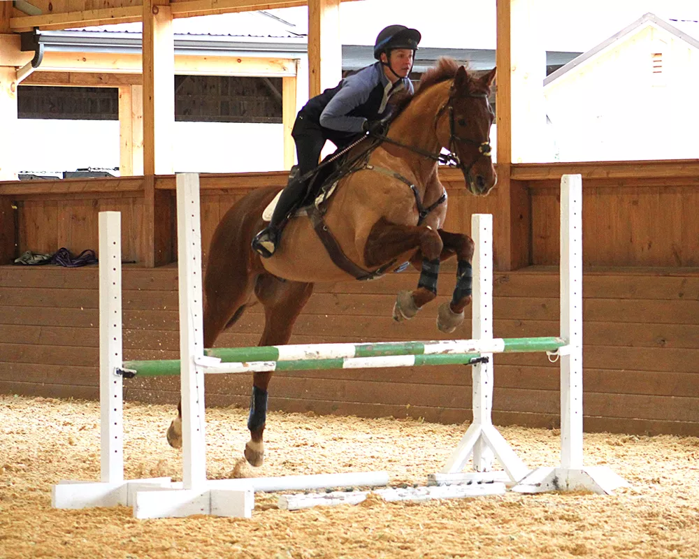 Beau indoor oxer