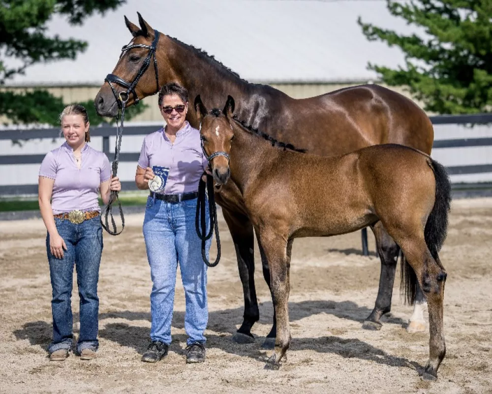 Danika Beltano 2023 Gold Medal Filly