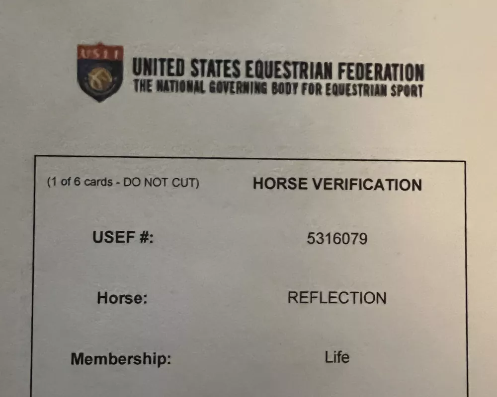 USEF NUMBER