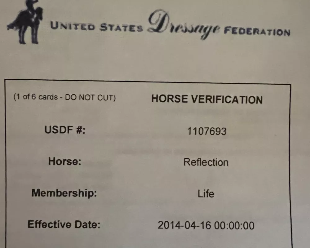 USDF NUMBER