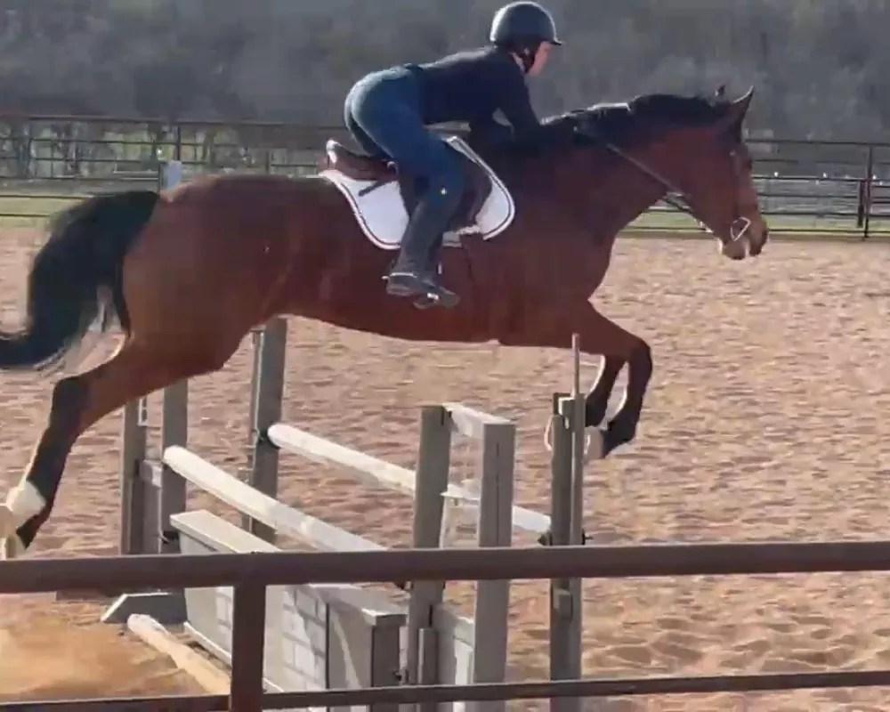 Epona jumping