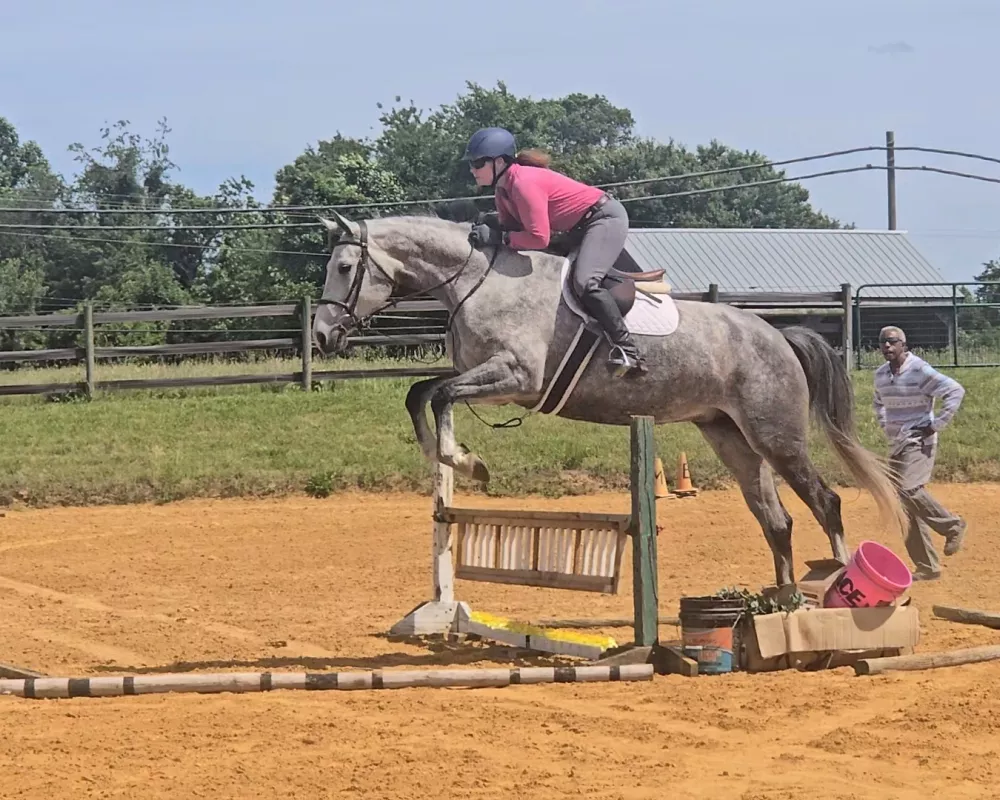 NoNo over fences