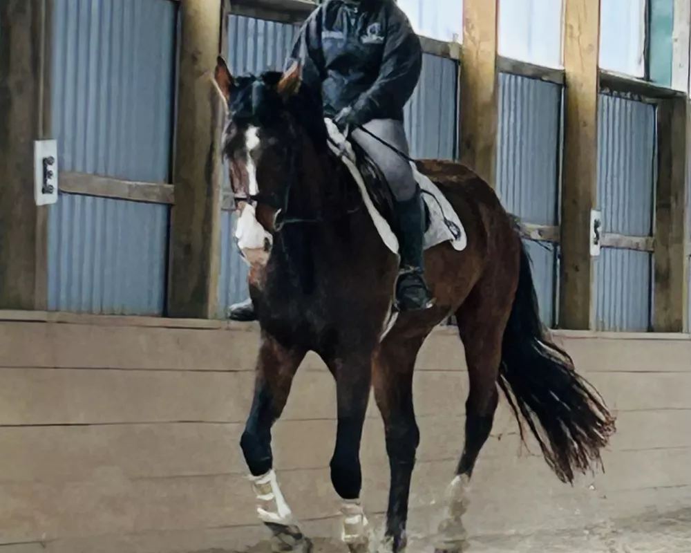 canter