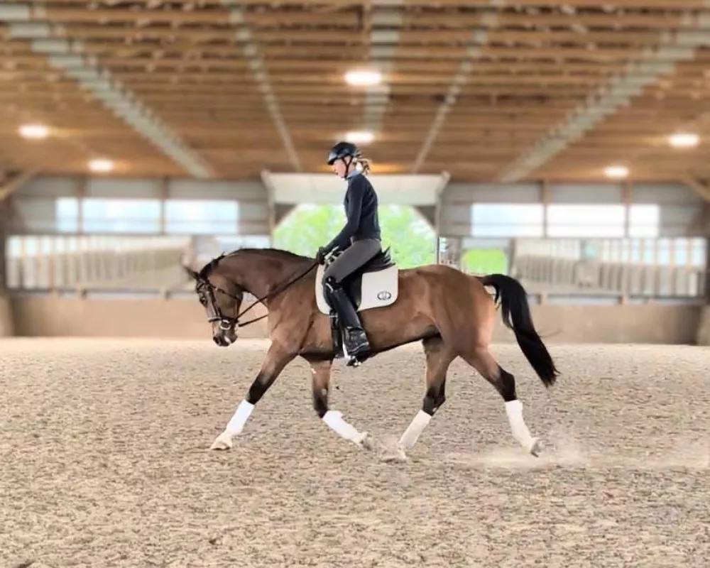 Nora-Dessa schooling. 