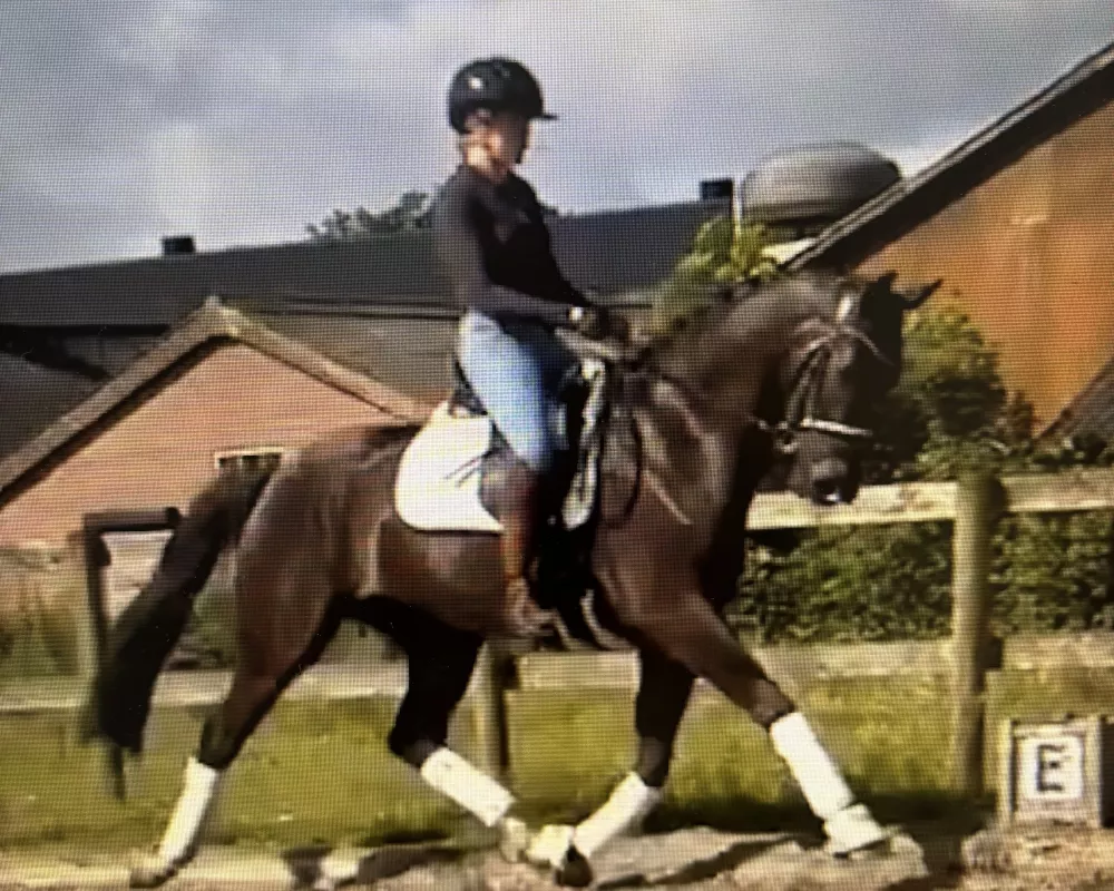 Kjento