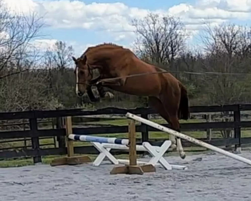 Sequin lunge jump