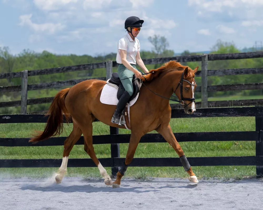 Sequin trot outdoor