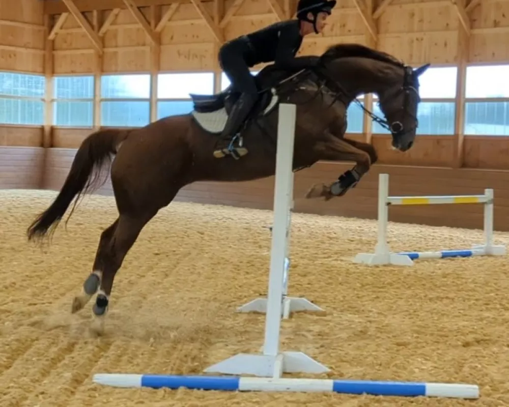 Homer indoor jump