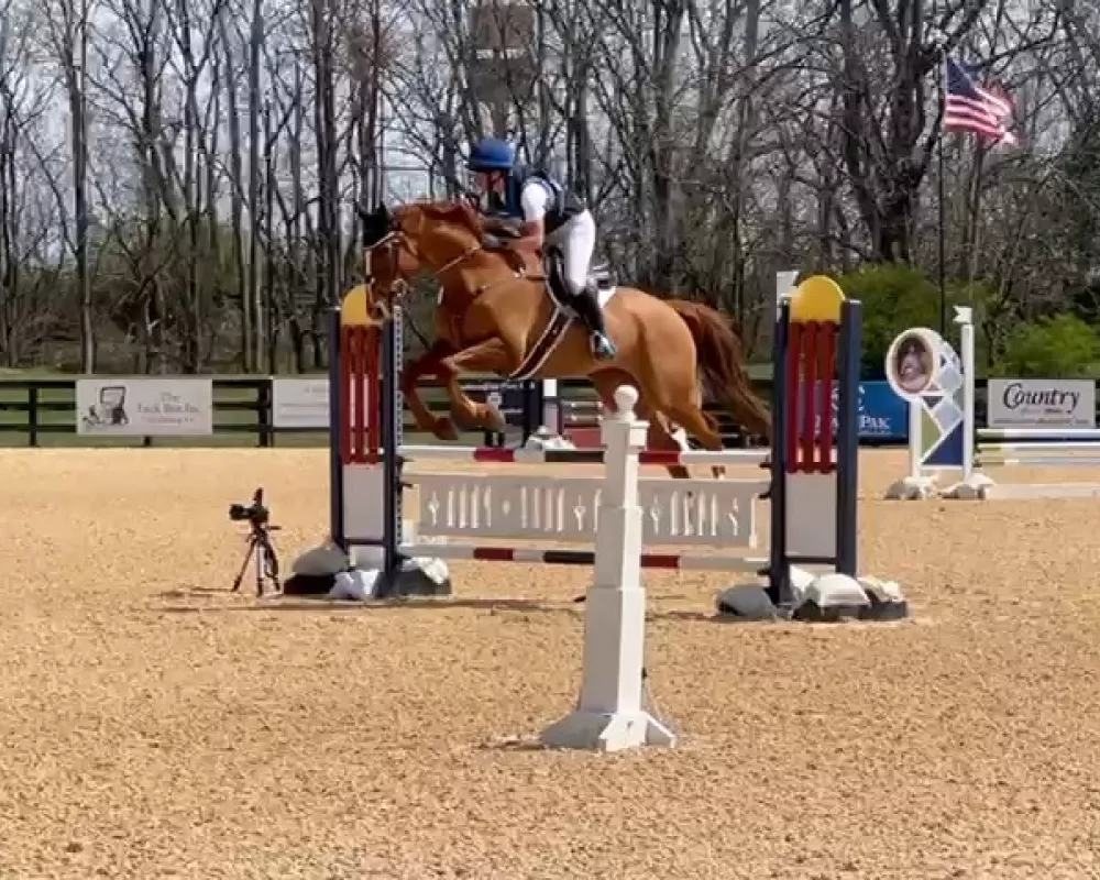 Homer white plank jump