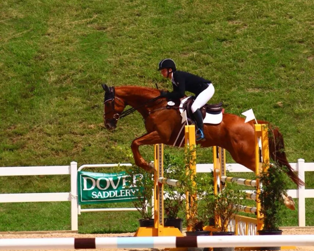 Homer yellow oxer